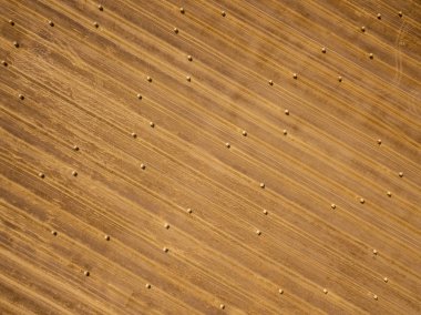 Tarlada kurumuş samanlıklar var.