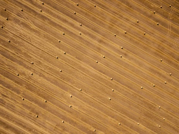 Tarlada kurumuş samanlıklar var.