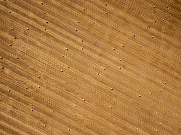 Tarlada kurumuş samanlıklar var.