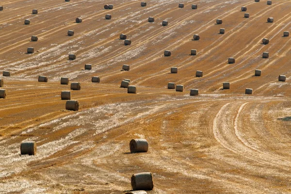 Runda torkade höstack på fältet — Stockfoto