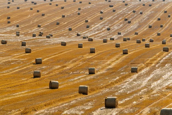 Runda torkade höstack på fältet — Stockfoto