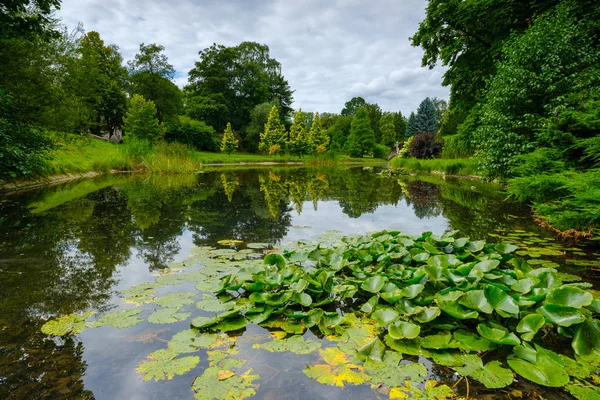 Summer landscape of pond in park — Stock Photo, Image