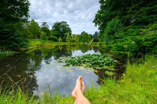 Paisagem de verão de lagoa no parque — Fotografia de Stock
