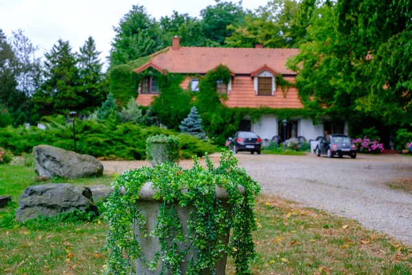 Venkovský dům krajina hydratangea květiny — Stock fotografie