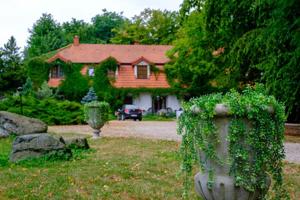 Venkovský dům krajina hydratangea květiny — Stock fotografie