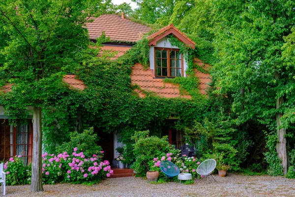 Деревенский дом пейзаж гортензии цветы — стоковое фото