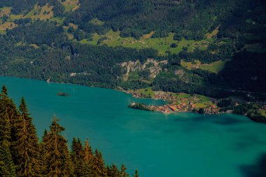 Brienz gölü üzerinde Isetwald köyünün hava manzara