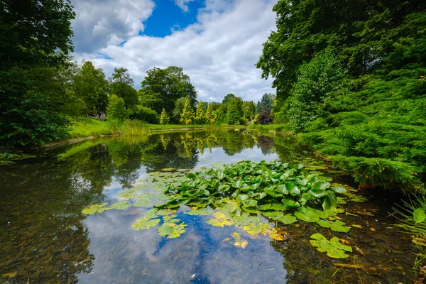 Summer landscape of pond in park — Stock Photo, Image