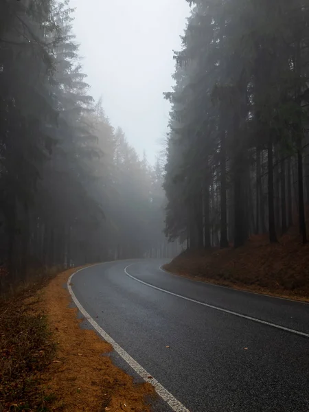 Асфальтована дорога в лісі в тумані, осінній пейзаж — стокове фото