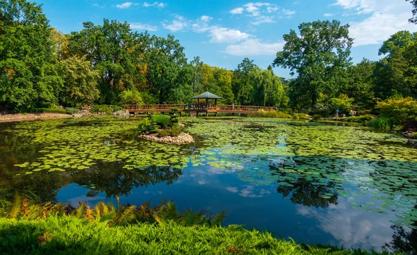 Mensen bijwonen Japanse tuin op zomer zonnige dag — Stockfoto