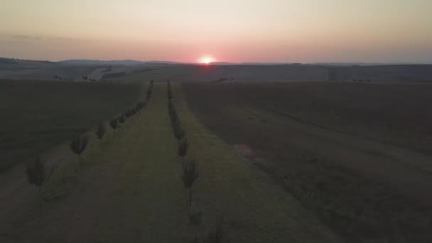 Aerial lanscape of sunrise in rural area in South Moravia — Stock Video