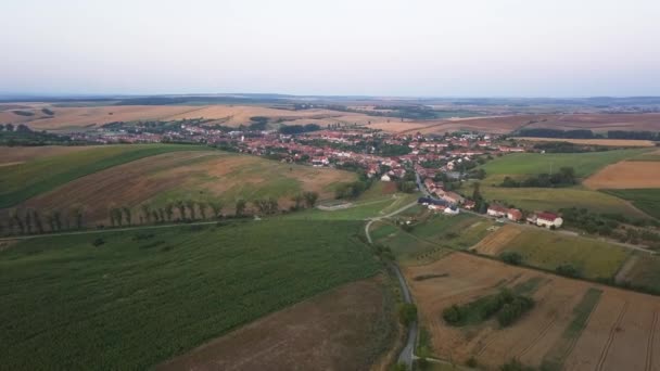 Letecká krajina na vinohradnických oblastech v jižním Moravě — Stock video