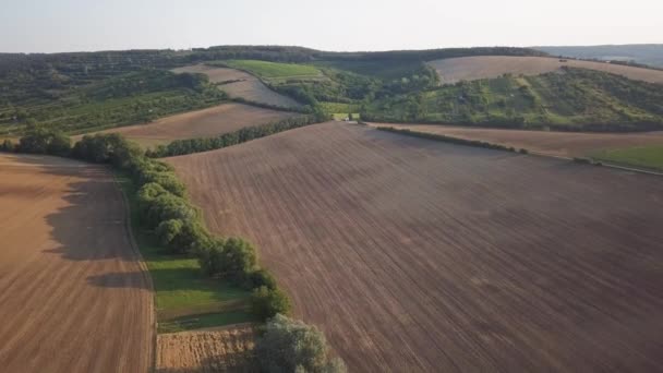 Повітряні пейзажі сільської сільської місцевості виноградники в Південній Моравії — стокове відео