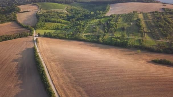 Paisagem aérea das vinhas rurais da área rural na Morávia do Sul — Vídeo de Stock