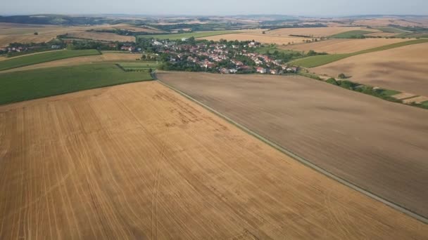 Paisagem aérea das vinhas rurais da área rural na Morávia do Sul — Vídeo de Stock