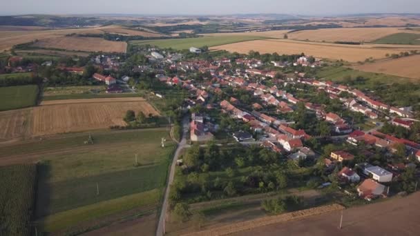 Letecká krajina na vinohradnických oblastech v jižním Moravě — Stock video