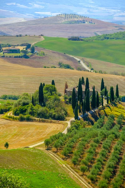 Toscana vale de verão manhã cedo — Fotografia de Stock