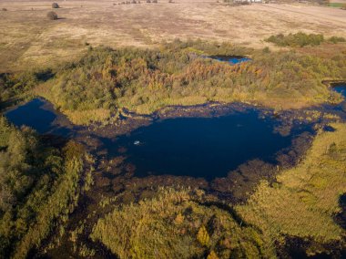 Yaz, ormandaki göl hava manzara