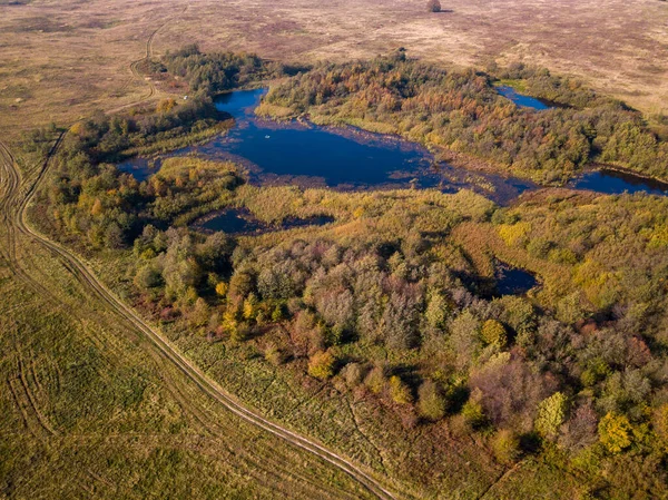 Luftaufnahme eines Sees im Wald im Sommer — Stockfoto