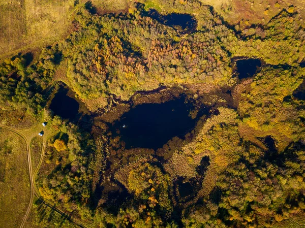 Letecký krajina jezera v lese na léto — Stock fotografie