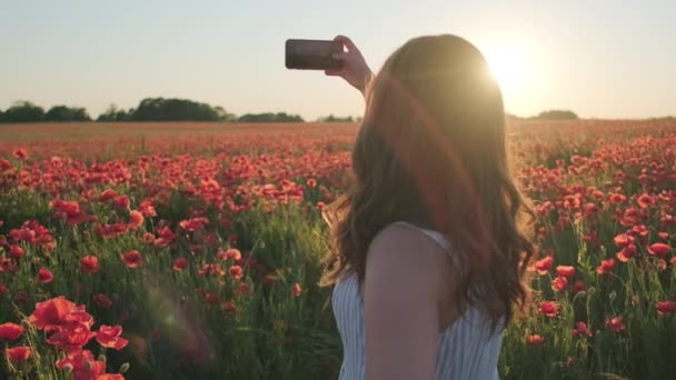 Oigenkännlig kvinna skjuter vallmo fält under solnedgången — Stockvideo