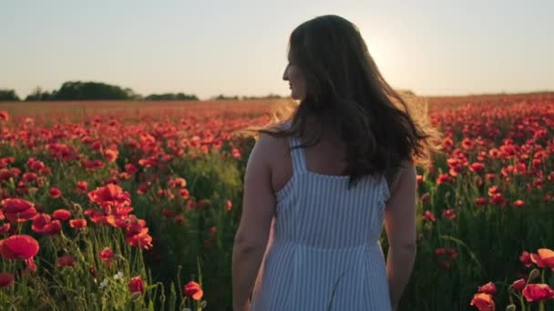 Vrouw schudden haar in bloeiende veld — Stockvideo