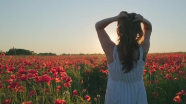 Haşhaş tarlasında kadın dokunup saçlarını sallıyor.