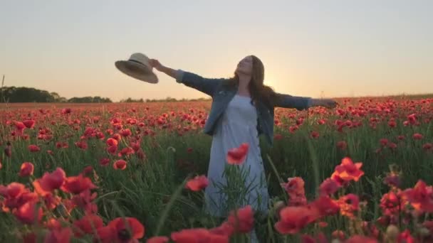 Mujer encantadora bailando en medio de amapolas — Vídeos de Stock