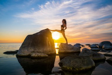 Güneşin batışına doğru uzanan dişiler.