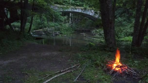 Oheň hoří v lese ve večerních hodinách — Stock video