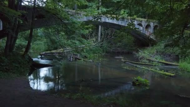 Flod och bro i skog — Stockvideo