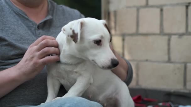 Mahsul adam sokak kafesinde köpeğini okşuyor. — Stok video