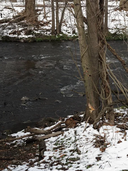 Rivier Winter Stromend Water Winter Met Sneeuw Banken — Stockfoto