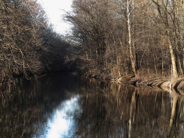 Nehir ve orman - kış nehir yansımaları ile yapraksız bir orman yoluyla.