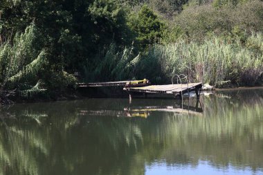 Gölet ve Dock - bir su birikintisi bir güneşli yaz gününde eski bir havuzda.
