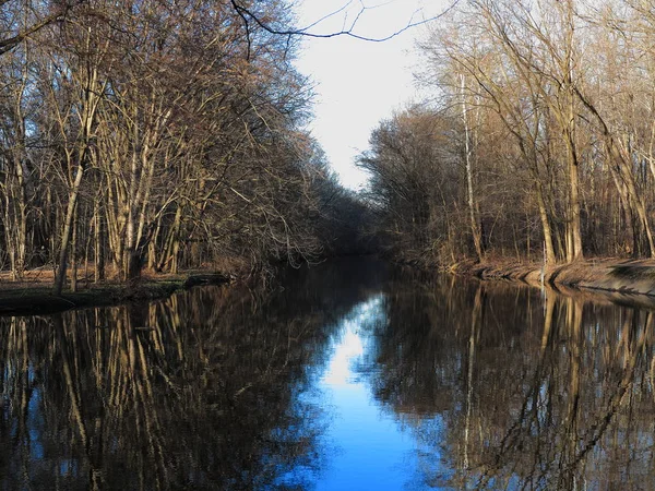 Rivier Bos Winter Rivier Door Een Bladloos Bos Met Reflecties — Stockfoto