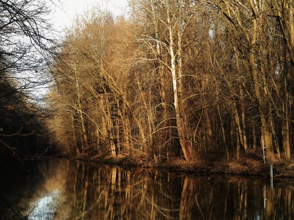 Rivier Bos Winter Rivier Door Een Bladloos Bos Met Reflecties — Stockfoto