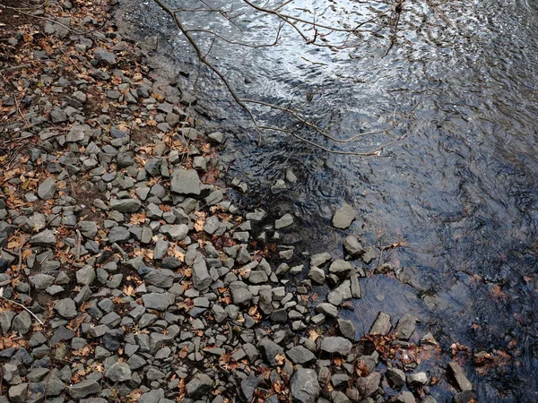 Riverside Rocks Reflections Shore Flowing River Hanging Tree Branches Rocks — Stock Photo, Image