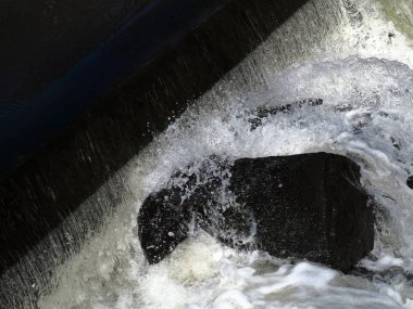 River Rapids - Köpüklü sular siyah kayaların arasından hızla akar. 