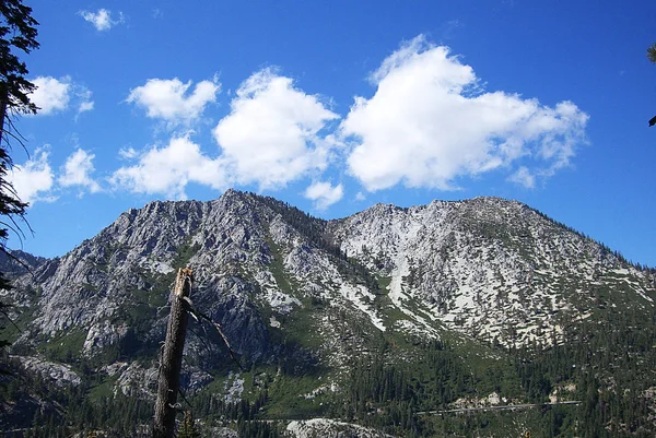 Hory Borovice Zářivě Modrá Obloha Nedaleko Jezera Tahoe — Stock fotografie