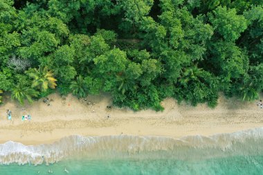 Guadeloupe Fransız. Caribean Adası. Batı Hint Adaları.