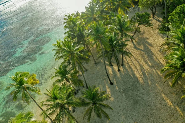 Francouzského Guadeloupe Ostrov Karibiku Západní Indie — Stock fotografie