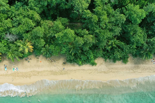 Guadeloupe Fransız Caribean Adası Batı Hint Adaları — Stok fotoğraf