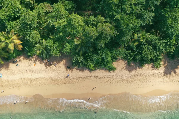 Guadalupa Francese Isola Dei Caraibi Indie Occidentali — Foto Stock