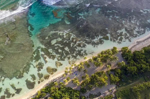 Guadeloupe Fransız Caribean Adası Batı Hint Adaları — Stok fotoğraf