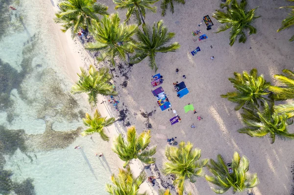 Französisch Guadeloupe Karibische Insel Westindien — Stockfoto