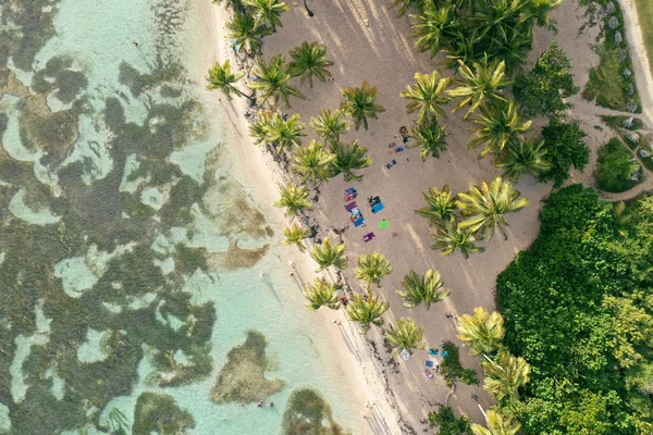 Francouzského Guadeloupe. Ostrov v Karibiku. — Stock fotografie