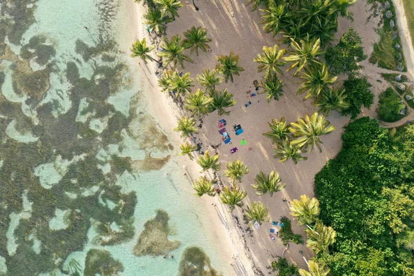 A francia Guadeloupe. Sziget Caribean. — Stock Fotó