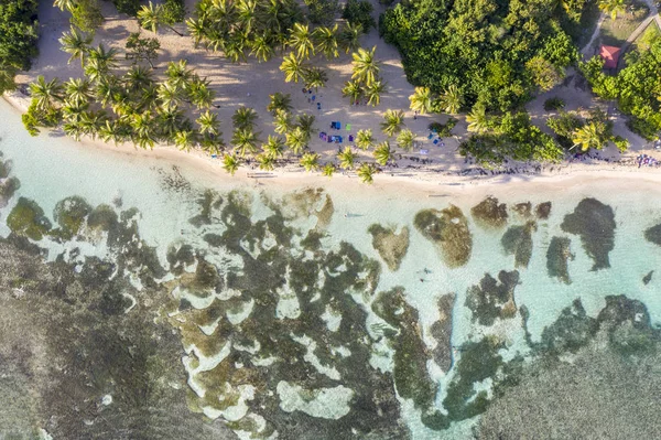 French Guadeloupe. Caribean island. — Stock Photo, Image