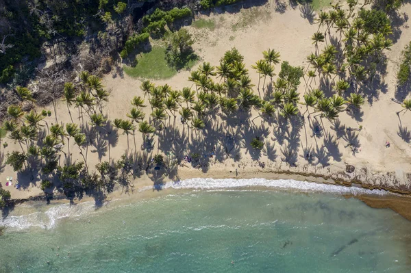 Iles Des Saintes Французская Гваделупа Остров Карибов Вест Индия — стоковое фото